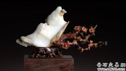 韓國石友首次亮相銀川賞石旅游節，助力石材文化交流與市場拓展